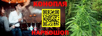 мяу мяу мука Кунгур
