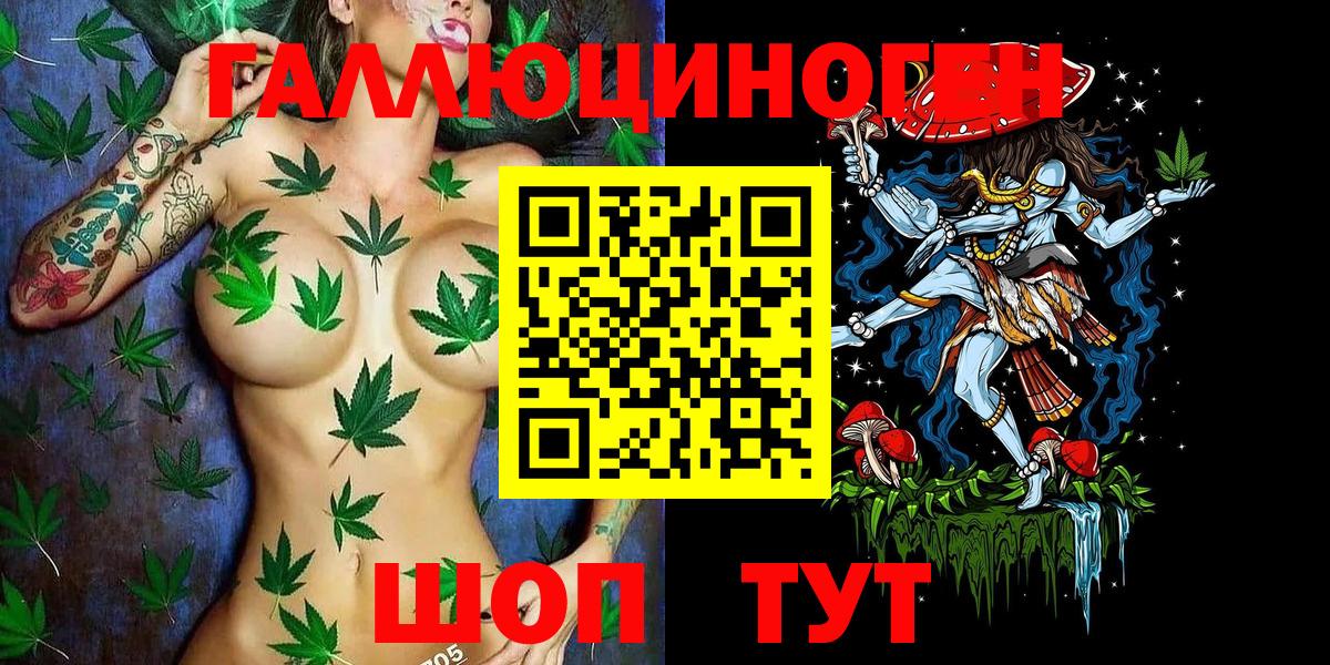 Гусиноозёрск  Галлюциногенные грибы GOLDEN TEACHER  Вход с VPN 